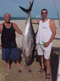 deep sea fishing, mexico fishing, Mazatlan Sportfishing