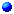 bluebot.gif (104 bytes)