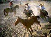 Charros: El Quelite, Mazatlan Tours