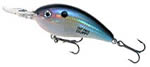 Bill Dance Fat Free Shad