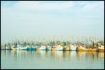 mazatlan ecotours, ecotours mexico, Mexico ecological tours