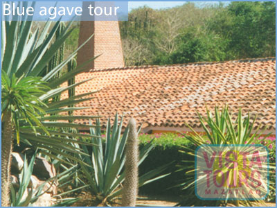 Tequila Tour - Agave Tour - Mazatlan tours - Mazatlan Activities