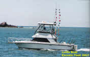 Cruisers - Fishing Mazatlan